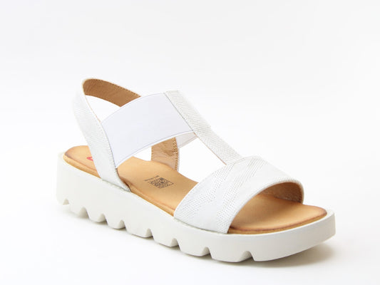 Ritz Shimmer