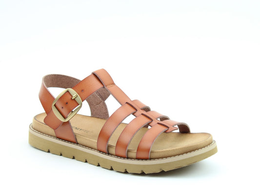 Saltwater SALE