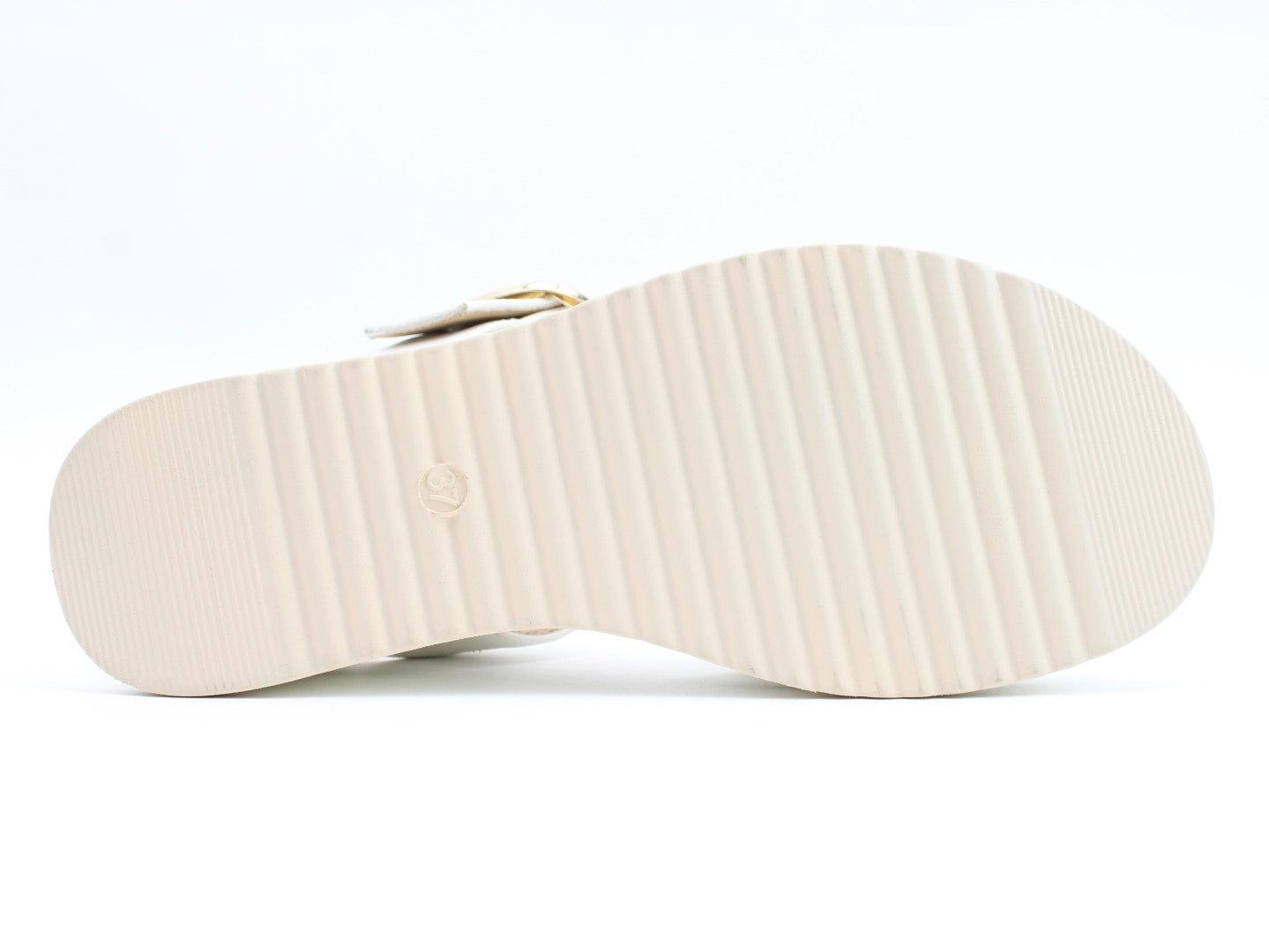 Olina
