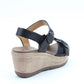 Juniper2
